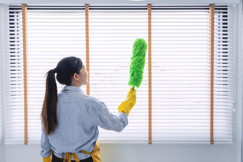 Strip Mall Window Cleaning